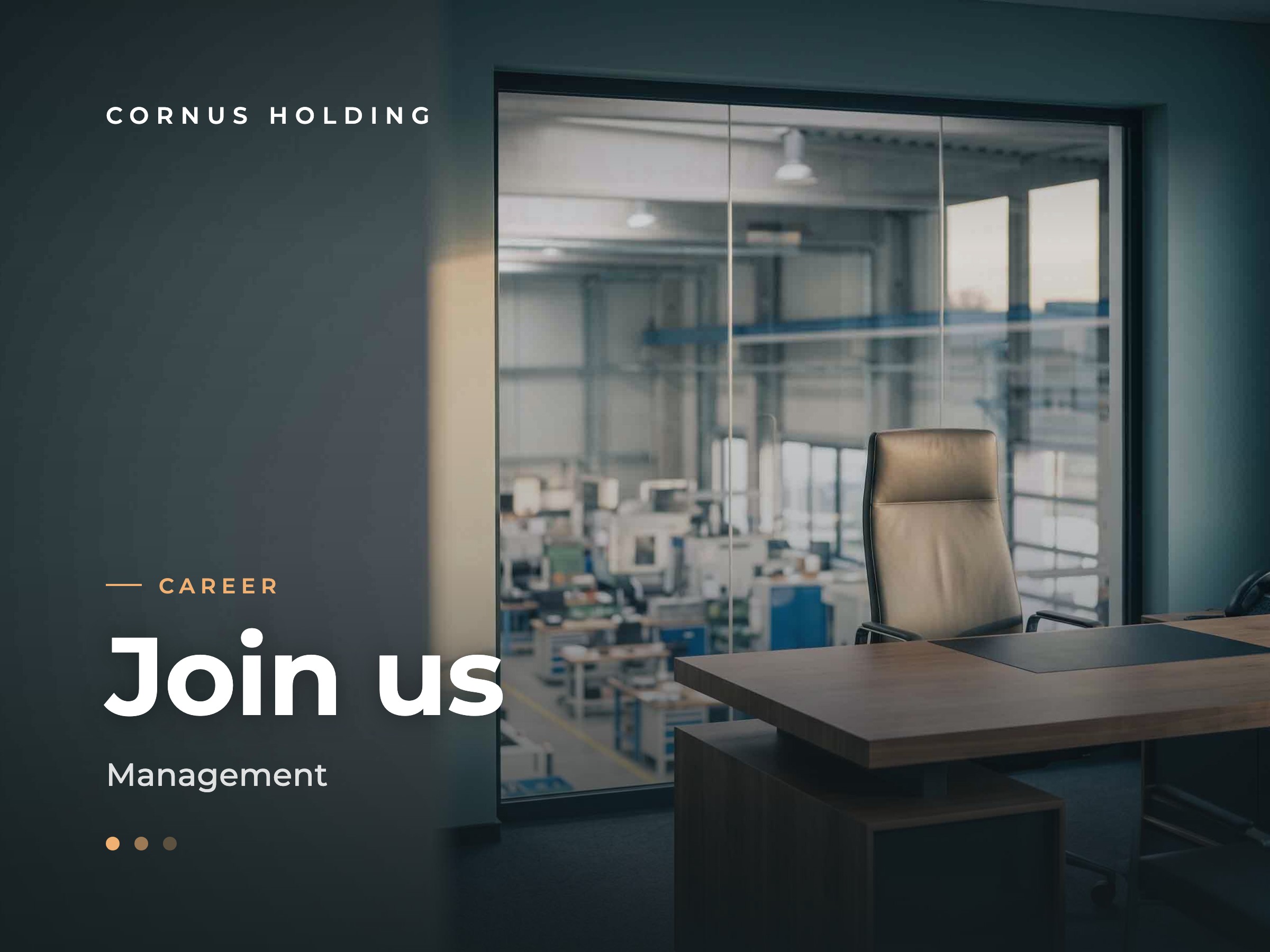 Cornus Holding career: managing director role in a portfolio company.